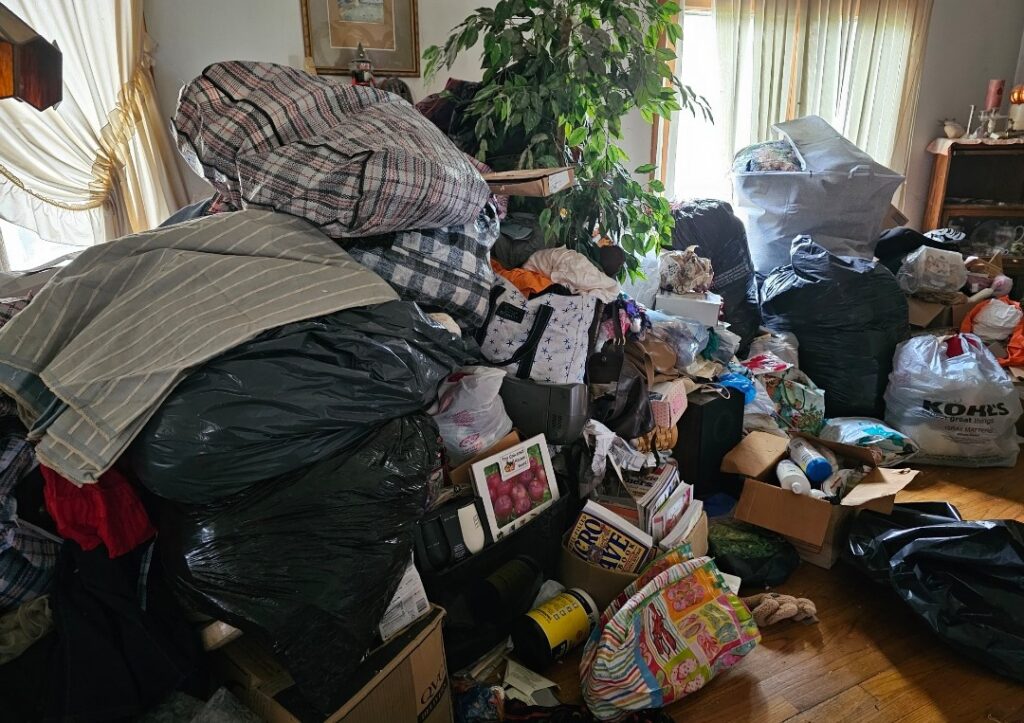 hoarder clean up hoarder cleanout